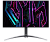 Монитор Acer Predator X27Ubmiipruzx 26,5" OLED 2560x1440 240 Hz1 000cd/m 20,01 /  0,03ms 2xHDMI + 1xDP + 1xType-C(90W) + Audio out + USB 3.2x2+USB-B +Speaker 5Wx2150 H.Adj Pivot (UM.HXXEE.001)