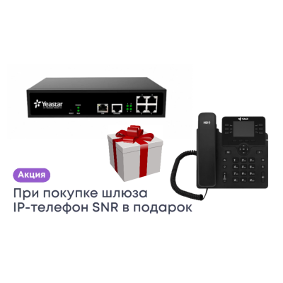 Шлюз Yeastar TB400 (SNR-VP-76-CG-P)