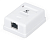 Розетка компьют. rj-45(8p8c), кат  6, экранированная, одинарная, внешняя Cabeus WS-8P8C-Cat.6-SH-1 Розетка компьютерная RJ-45(8P8C), категория 6, экранированная, одинарная, внешняя, Dual IDC (WS-8P8C-Cat.6-SH-1)