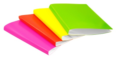 Папка с 20 прозр.вклад. Бюрократ Double Neon DNE07V20OR A4 пластик 0.7мм оранжевый