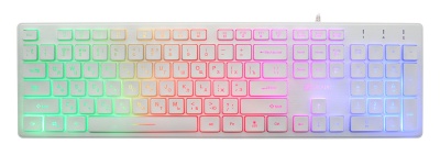 Клавиатура Оклик 550ML белый USB slim Multimedia LED