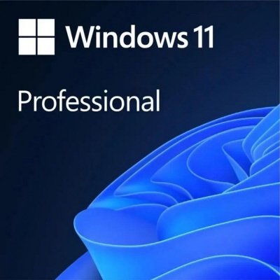 Операционная система Microsoft Windows 11 Professional Конверт OEM (FQC-10547)