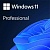 Операционная система Microsoft Windows 11 Professional Конверт OEM (FQC-10547)