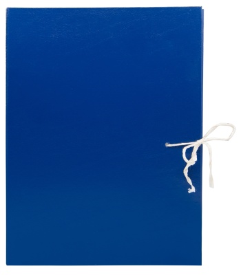 Папка архивная 4 завязки Silwerhof КБЗ-4-80Р бумвинил корешок 80мм разобранный A4 ассорти