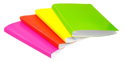 Папка с 30 прозр.вклад. Бюрократ Double Neon DNE07V30OR A4 пластик 0.7мм оранжевый