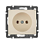 Розетка Legrand 774316
