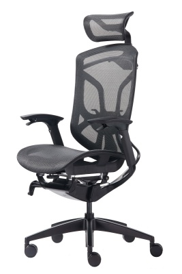 Премиум эргономичное кресло GT Chair Dvary X, чёрный