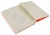 Блокнот Moleskine CLASSIC QP061R Large 130х210мм 240стр. клетка твердая обложка красный Блокнот Moleskine CLASSIC QP061R Large 130х210мм 240стр. клетка твердая обложка красный
