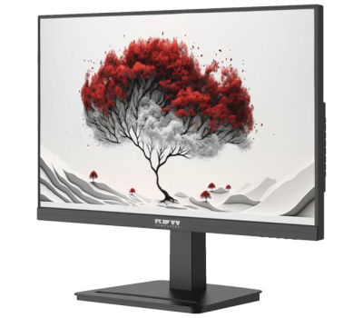 Монитор RDW Computers 23.8" RDW2401K черный IPS 4ms HDMI матовая HAS Piv 350cd 178гр/178гр 1920x1080 120Hz VGA DP FHD 4.185кг (RUS)