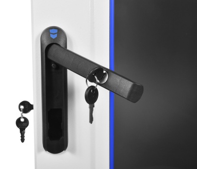 Шкаф коммутационный ЦМО ШТК-М-42.6.6-1ААА-9005 42U 600x600мм пер.дв.стекл задн.дв.стал.лист 2 бок.пан. 650кг черный