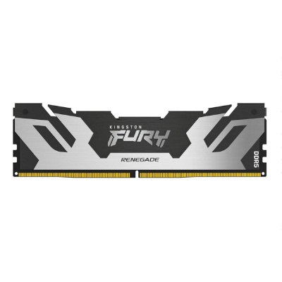 Оперативная память Kingston 32GB 6400MT/s DDR5 CL32 DIMM FURY Renegade Silver XMP (KF564C32RS-32)