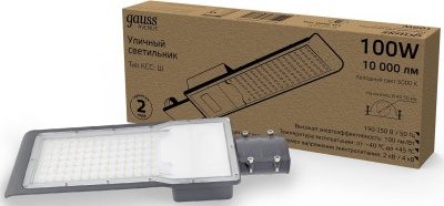 Светильник консольный Gauss 629534300 100Вт ламп.:100шт светодиод.лампа черный