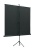 Экран на треноге Lumien 160x160см Eco View LEV-100105 1:1 напольный рулонный Экран на треноге Lumien 160x160см Eco View LEV-100105 1:1 напольный рулонный
