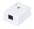Розетка компьютерная rj-45(8p8c), категория 6, одинарная Cabeus WS-8P8C-Cat.6-1 Розетка компьютерная RJ-45(8P8C), категория 6, одинарная, внешняя, Dual IDC (WS-8P8C-Cat.6-1)