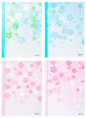 Тетрадь Deli SAKURA WPA540 A5 40л линейка ассорти