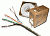NEOMAX [NM10001] Кабель U/UTP cat.5e 4 пары (305 м) 0.486 мм (24 AWG) Медь PVC jacket (NM10001)
