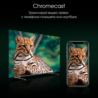 Телевизор Digma Pro 55" 55M черный/серебристый OLED 4K Ultra HD 120Hz Google TV