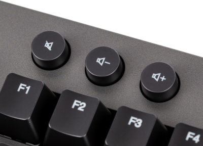 Клавиатура Lenovo Legion K500 RGB механическая черный USB Multimedia for gamer LED (подставка для запястий)