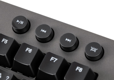 Клавиатура Lenovo Legion K500 RGB механическая черный USB Multimedia for gamer LED (подставка для запястий)