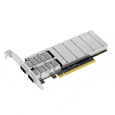 Сетевой адаптер LR-LINK LRES1162PF-2QSFP56 Mellanox ConnectX-6 100GB PCIe 4.0 x16