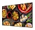 Экран на раме Cactus 114x201см Alr Expert CS-PSALR-201X114 16:9 настенный натяжной