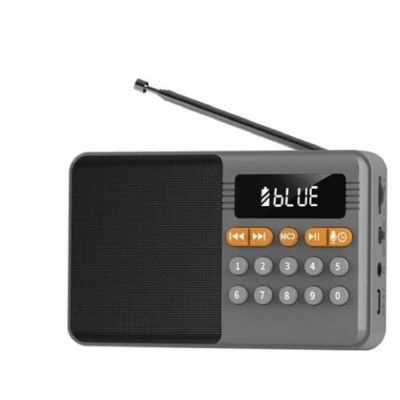 Радиоприемник PERFEO (PF_D0576) ТУРИСТ, серый