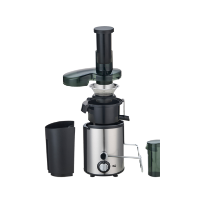 Соковыжималка BQ J1000 Steel-black