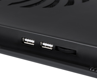 Подставка для ноутбука Digma D-NCP170-2 17"390x270x27мм 2xUSB 2x 150ммFAN 600г черный