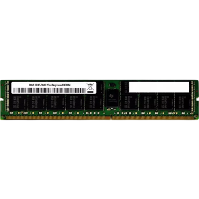 Модуль памяти DELL 64GB (1x64GB) RDIMM DDR5 5600MT/s 2Rx4 ECC Reg Memory