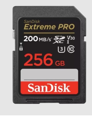 Флеш карта SDXC 256GB SanDisk Extreme Pro UHS-I Class 3 (U3) V30 200/140 MB/s <SDSDXXD-256G-GN4IN>