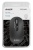 Мышь A4Tech Fstyler FG20 серый оптическая (2000dpi) беспроводная USB для ноутбука (4but) Мышь A4Tech Fstyler FG20 серый оптическая (2000dpi) беспроводная USB для ноутбука (4but)