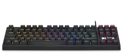 Клавиатура Defender Blitz GK-240L механическая черный USB for gamer LED