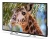Телевизор LED PolarLine 50" 50PU11TC-SM черный/Ultra HD/50Hz/DVB-T/DVB-T2/DVB-C/USB/WiFi/Smart TV (RUS) Телевизор LED PolarLine 50" 50PU11TC-SM черный/Ultra HD/50Hz/DVB-T/DVB-T2/DVB-C/USB/WiFi/Smart TV (RUS)