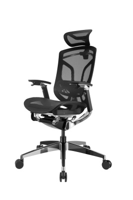 Премиум эргономичное кресло GT Chair Dvary Pro X, чёрный