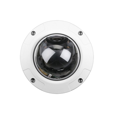 DCS-4602EV/UPA/B1A Внешняя купольная антивандальная сетевая 2 МП Full HD-камера с поддержкой WDR, PoE и ночной съемки