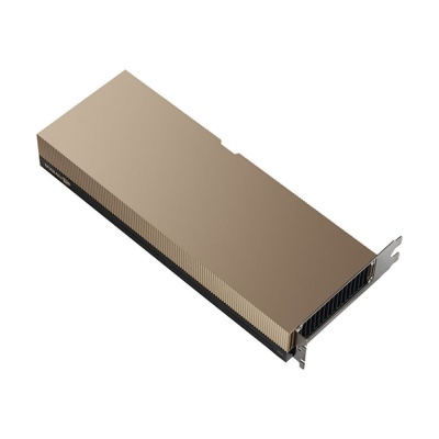 Графический процессор NVIDIA Tesla A100 Graphics Cards, 80GB, retail, PN: 900-21001-0020-100 (with ATX)