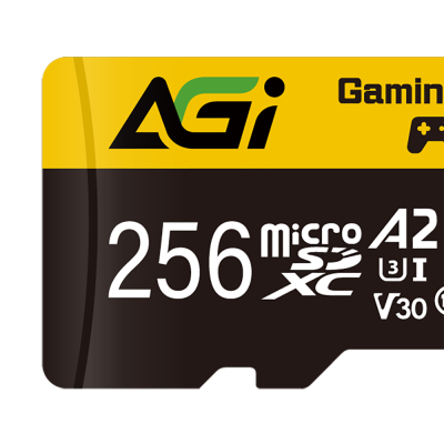 Карта памяти AGI microSDXC 256GB AGI Supreme TF138 Memory Card AGI256GGSTF138-R2 UHS-I U3 Class 10/V30S/A2, Adapter, 95/85 MB/s, RTL 2 in 1