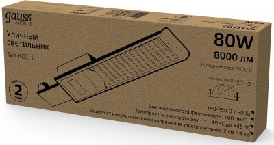 Светильник консольный Gauss 629534380 80Вт ламп.:100шт светодиод.лампа черный