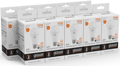Лампа светодиодная Gauss Elementary A67 30Вт цок.:E27 груша 220B 3000K св.свеч.бел.теп. А67 (упак.:1шт) (73219)