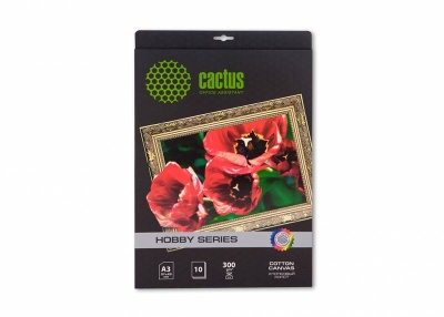 Холст Cactus CS-CA326010 A3/300г/м2/10л./белый для струйной печати