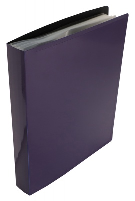 Папка с 80 прозр.вклад. Бюрократ DeLuxe DLVBOX80BBERRY A4 пластик 0.7мм черничный в коробе